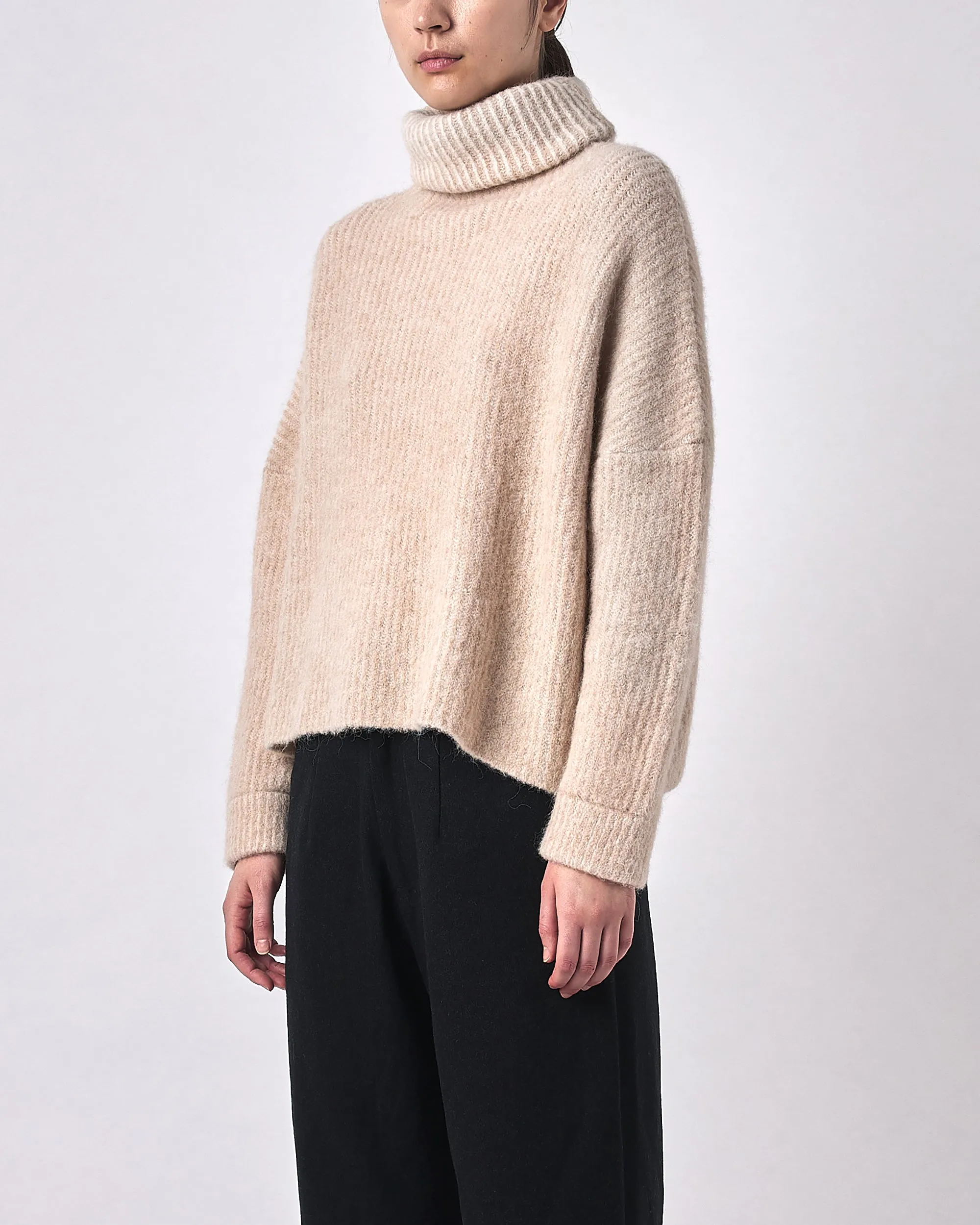 Alpaca Striped Turtleneck - FW23 - Light Stripes