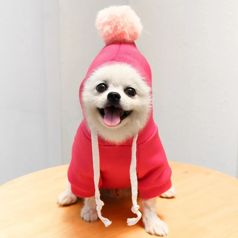 Anniepaw Fruit-Themed Warm Fleece Hoodie: Cute Dog Coat for Small Breeds