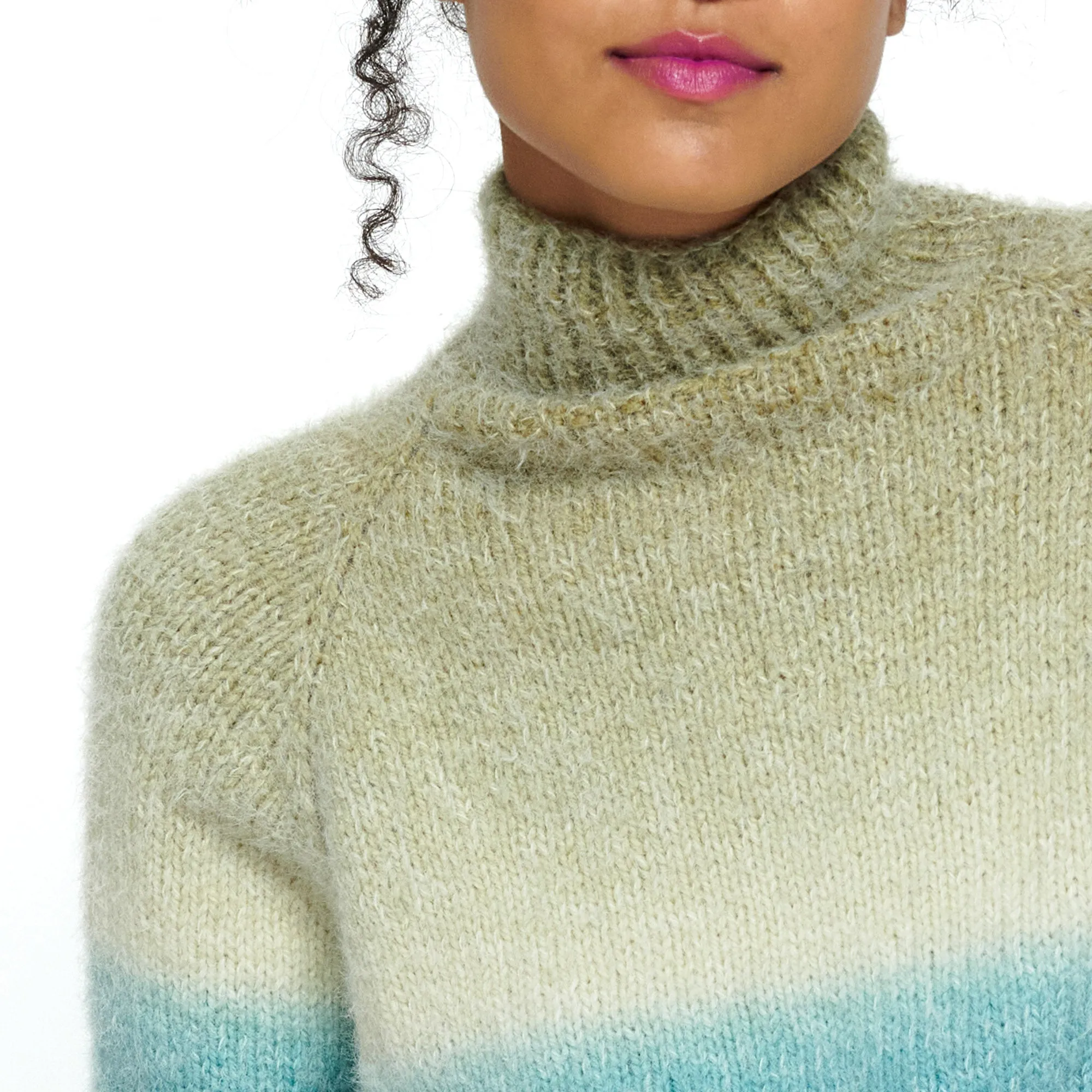 Caron Turtleneck Knit Pullover