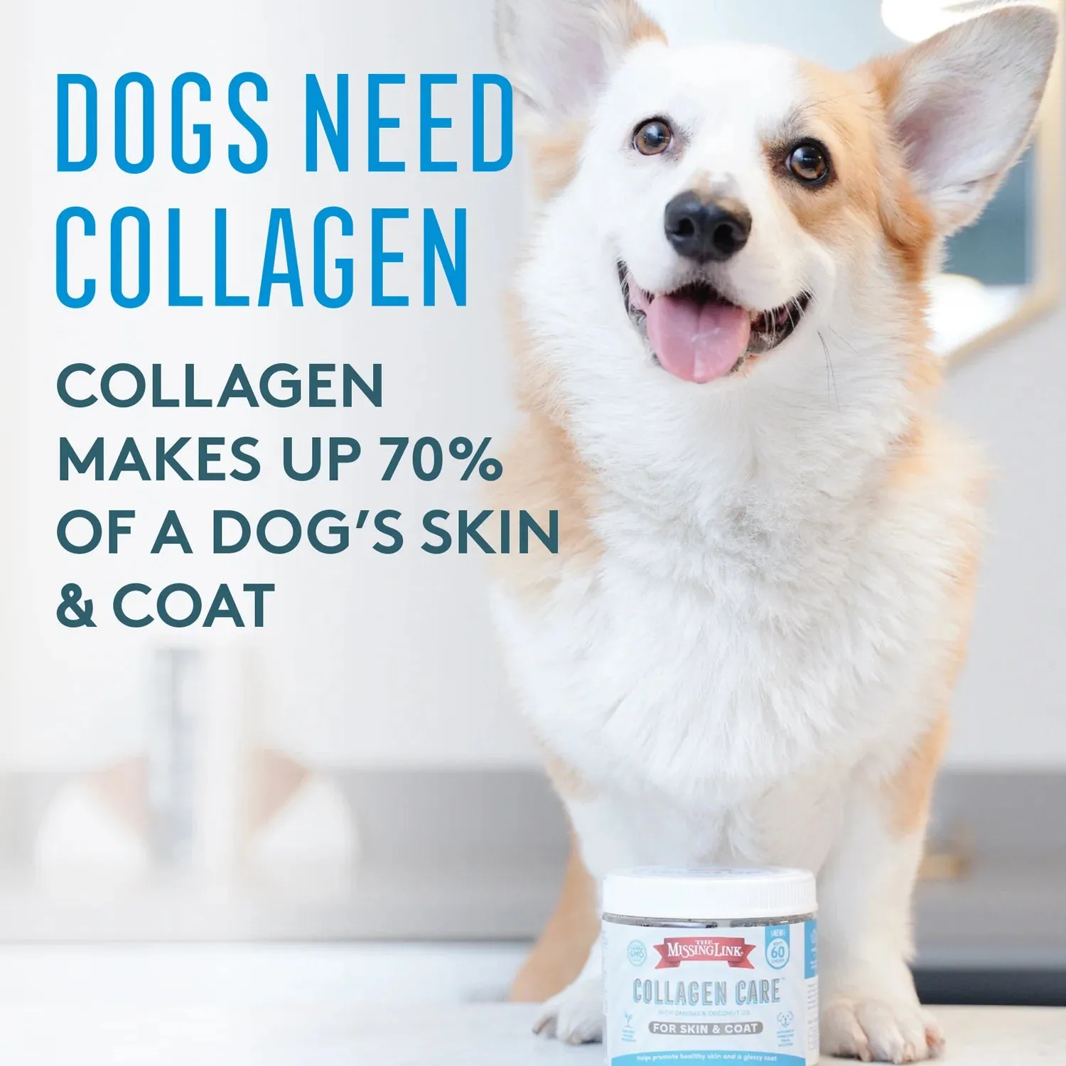 Collagen Care Skin & Coat Soft Chews - 60 count