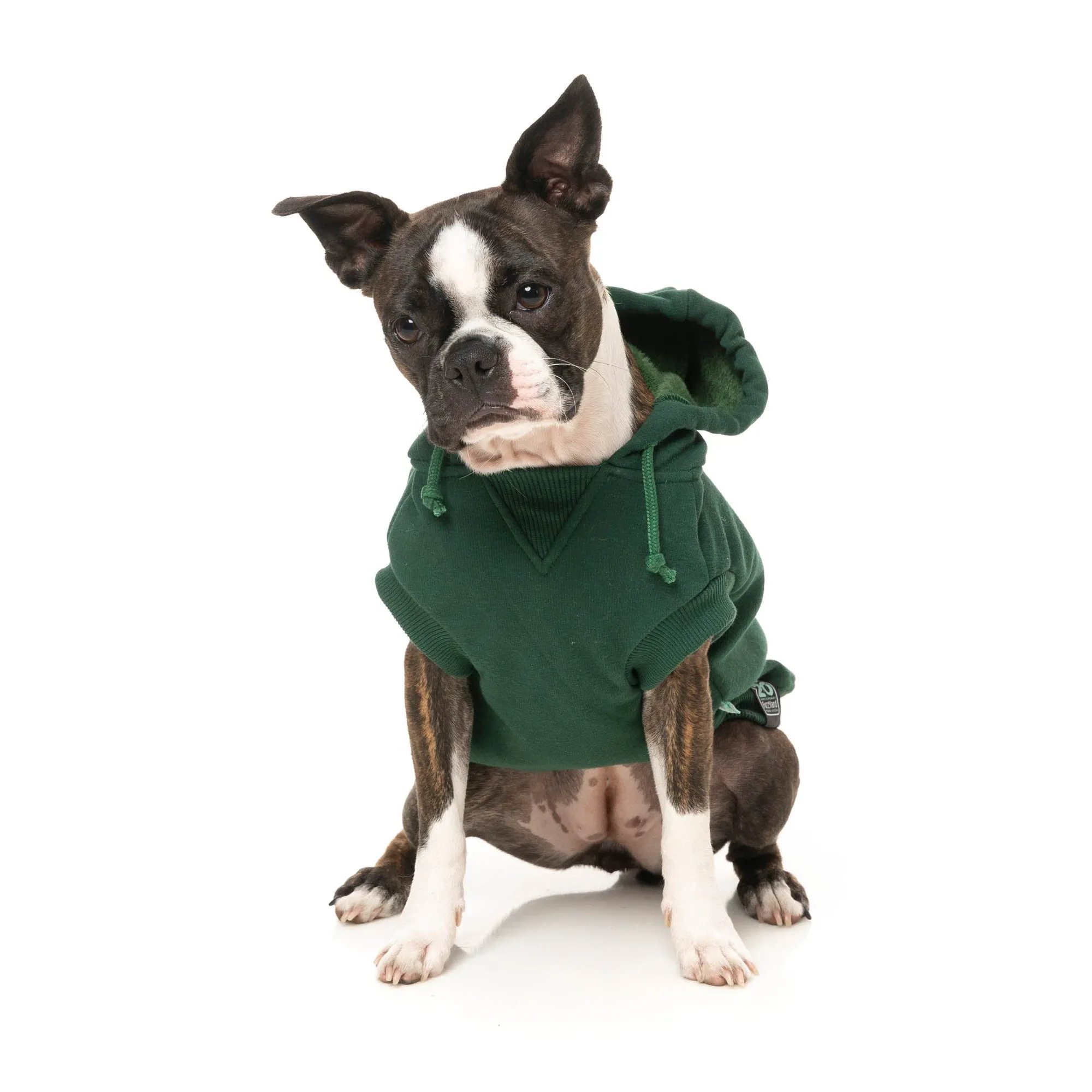 FuzzYard Dog Apparel Treats Hoodie Green SIze 1 XXSmall***