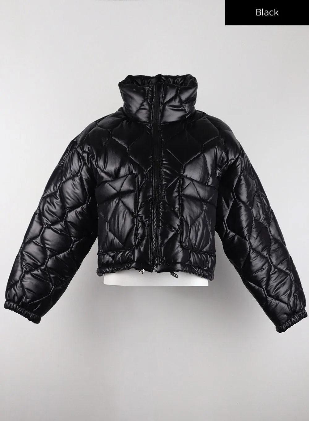 Glossy Quilted Puffer Jacket CD319