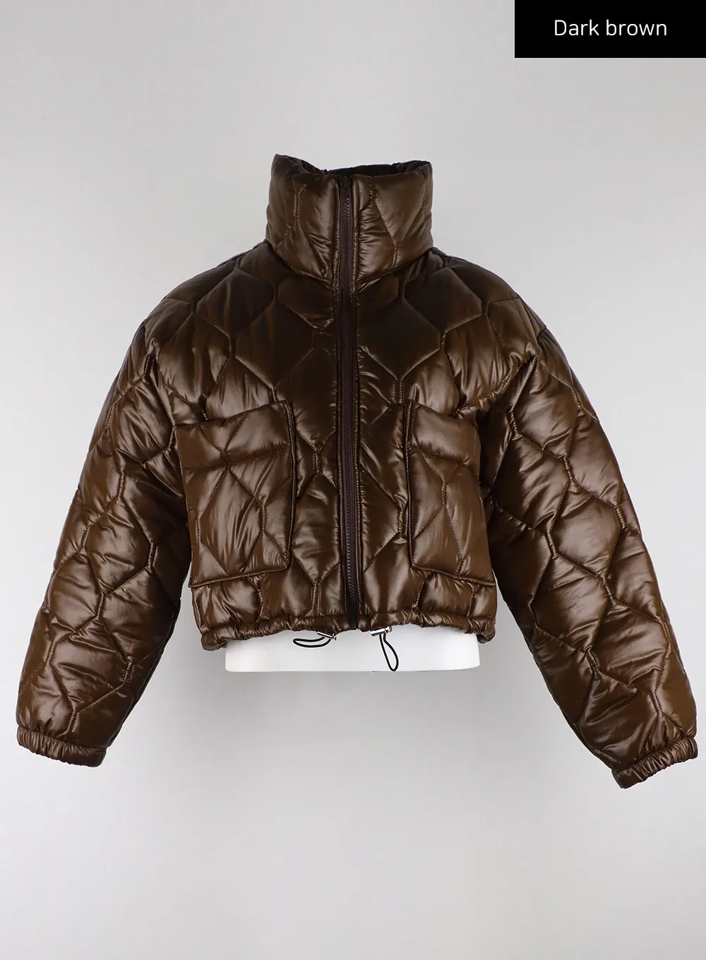 Glossy Quilted Puffer Jacket CD319