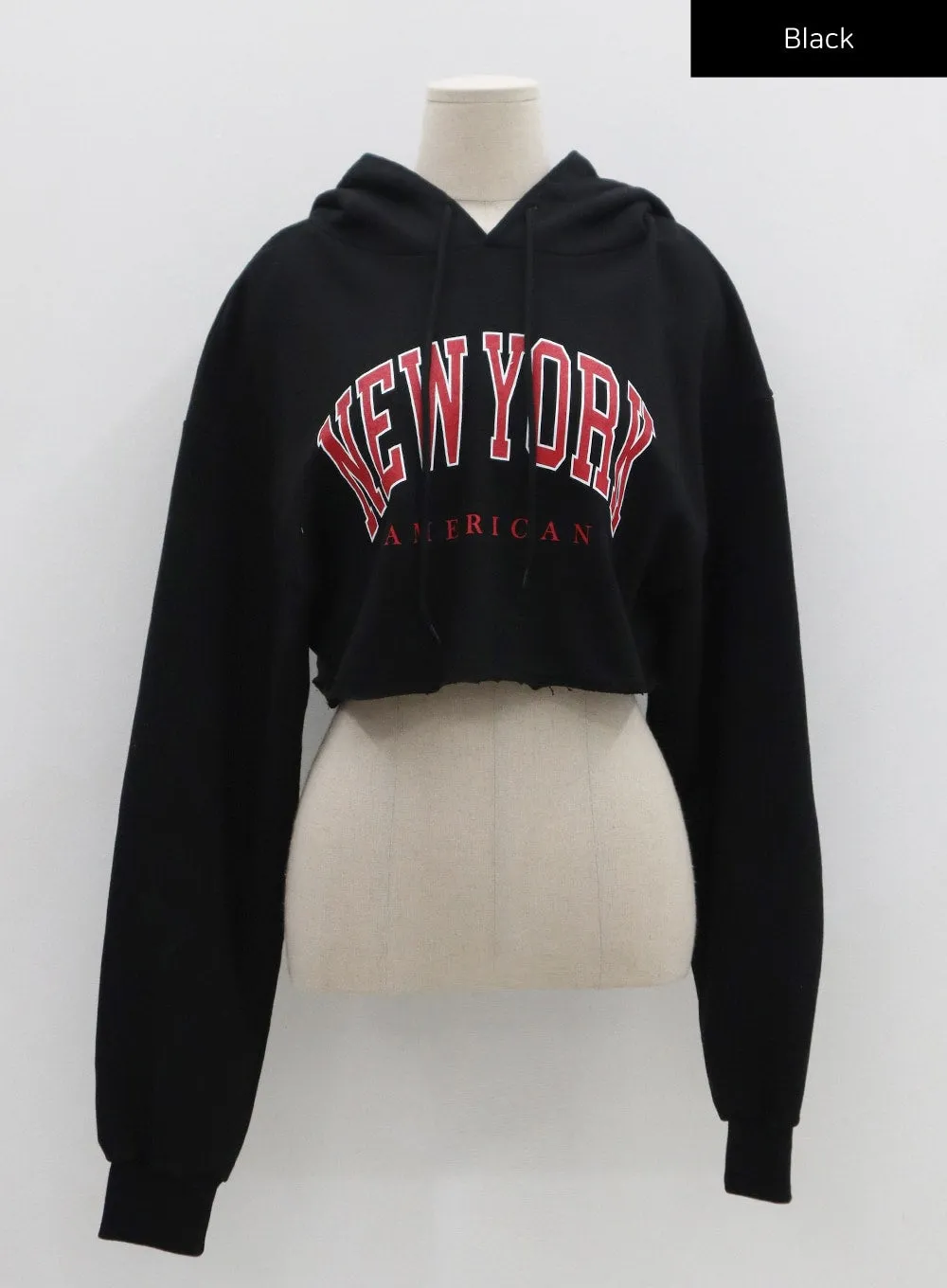 Lettering Crop Hoodie Sweatshirt CS23