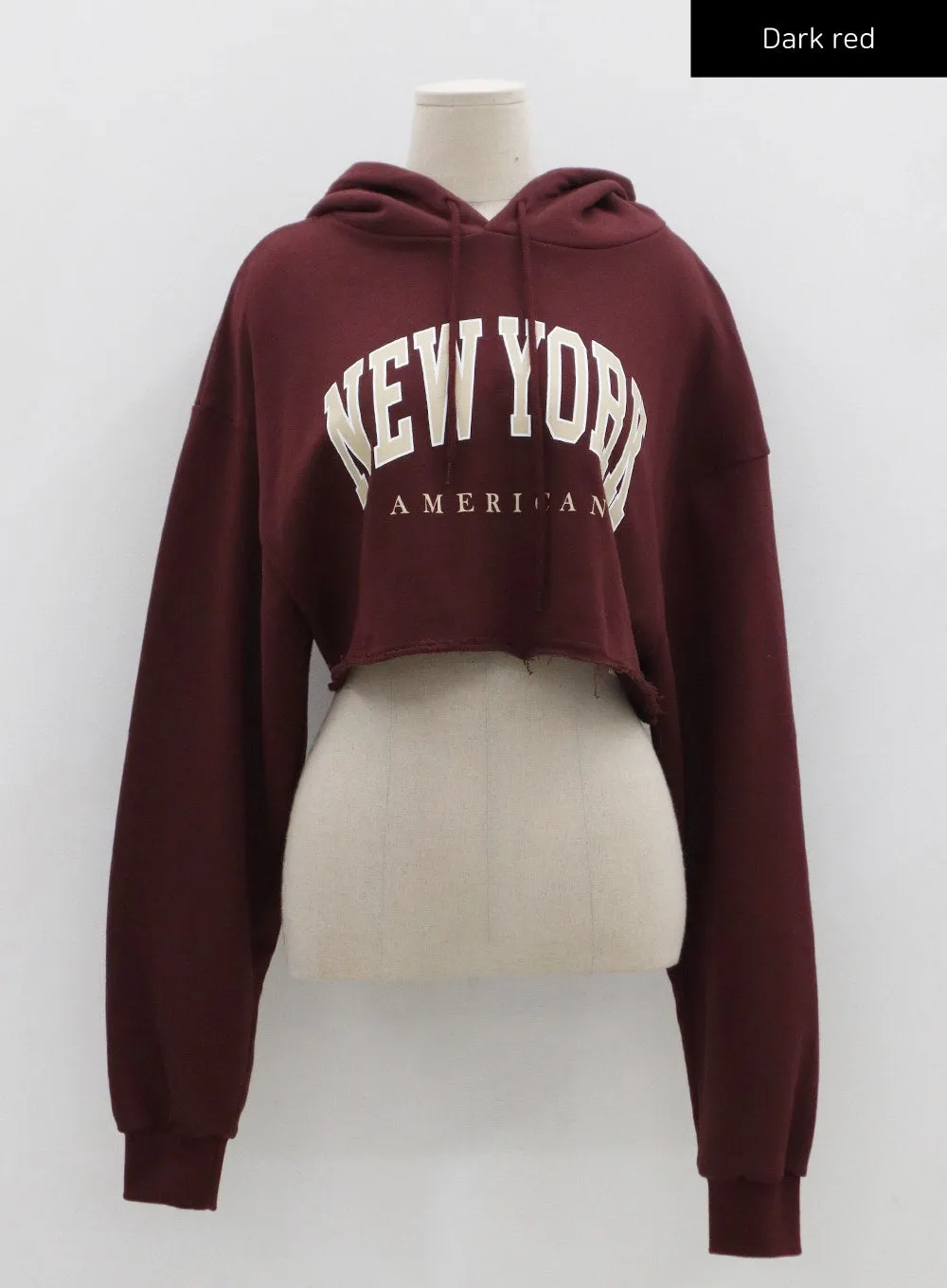 Lettering Crop Hoodie Sweatshirt CS23