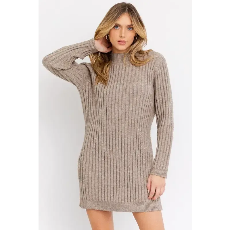 Turtleneck Sweater Dress