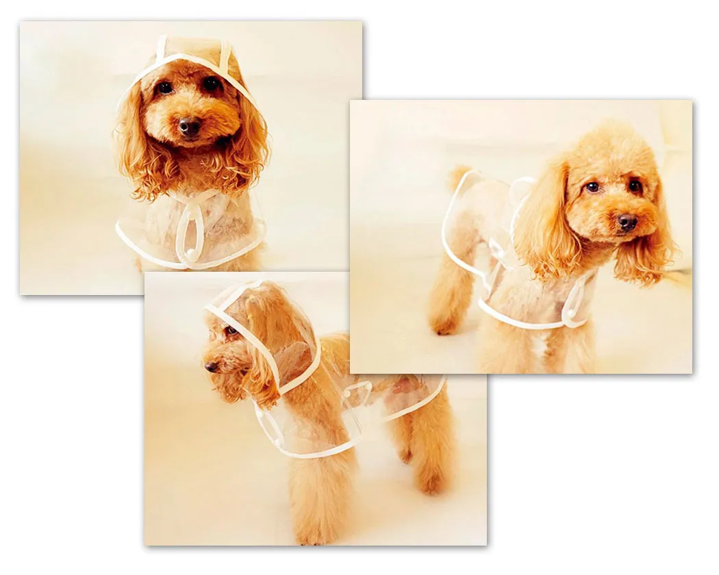 Waterproof Transparent Puppy Dog Rain Jacket Poncho